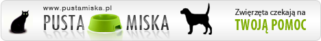 PustaMiska - akcja charytatywna